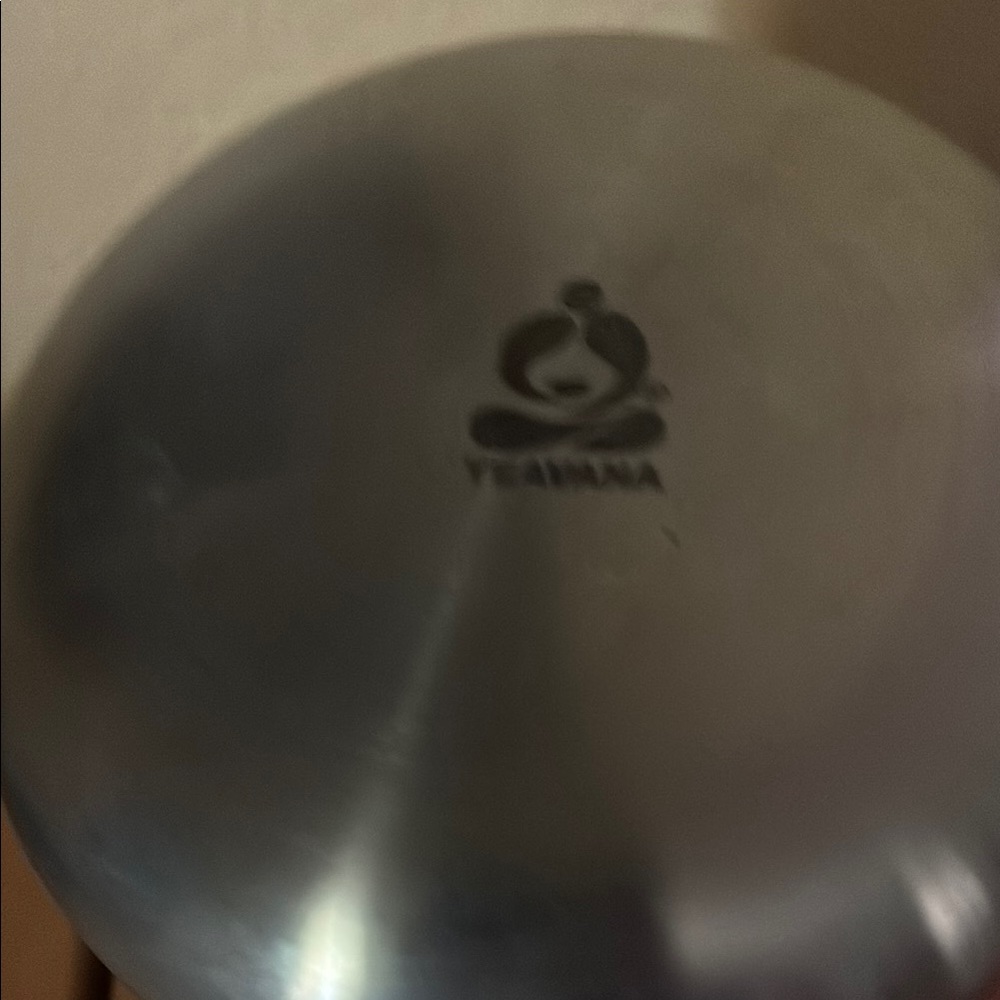 NWT Teavana Silver Tea Canister and Perfect tea measure